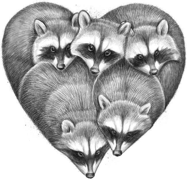 Heart from raccoons by NikKor