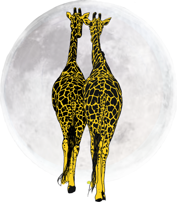 The Two Giraffes and the Full Moon