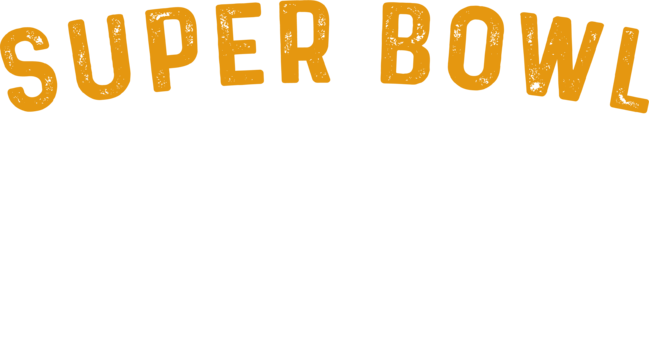 Super Bowl 50 T-Shirt