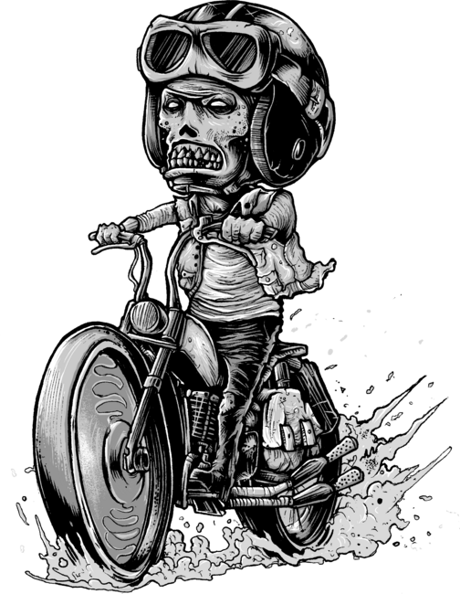 mr zomp bike