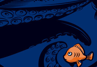 The little orange fish by bortwein