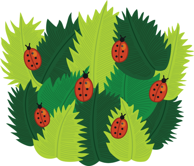 Spring Ladybugs And Green Leaves