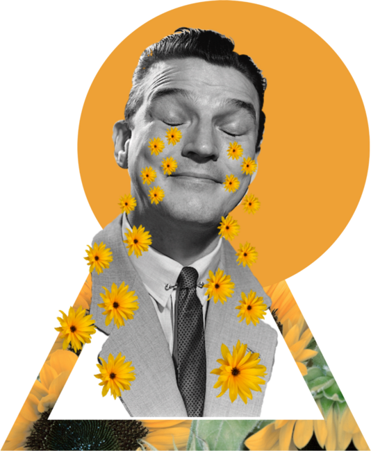 Sunflower tears