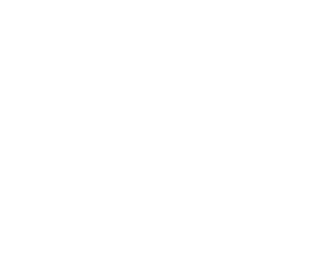 Amstaff Training Staffordshire Tricks Slim