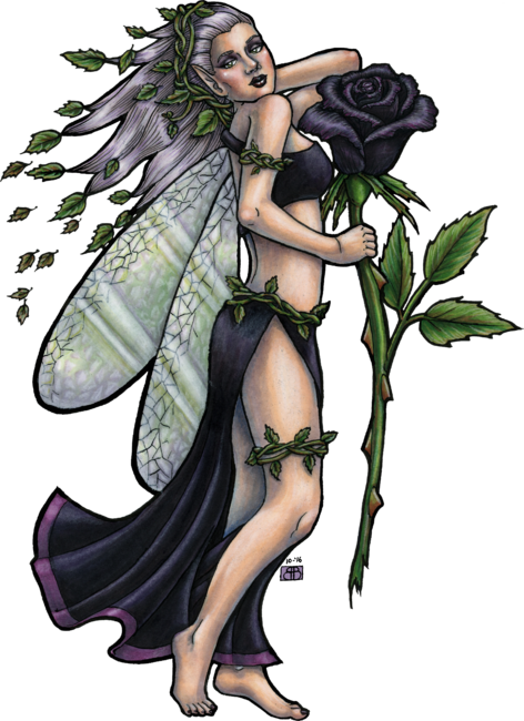 Black Rose Fairy