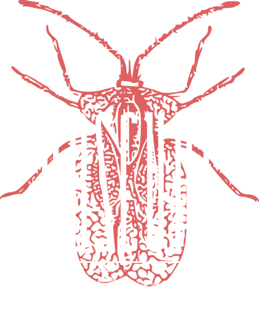 OBSCURE by azified