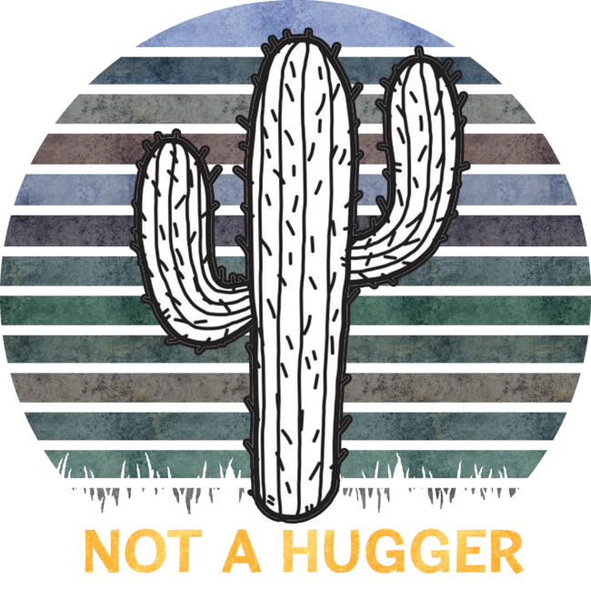 Not A Hugger Vintage TShirt Funny Shirt Cactus Sarcastic Tee by stellaandgrace