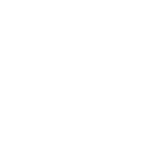Samurai Skull Tribal