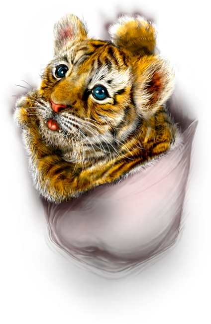 Red Pocket Tiger