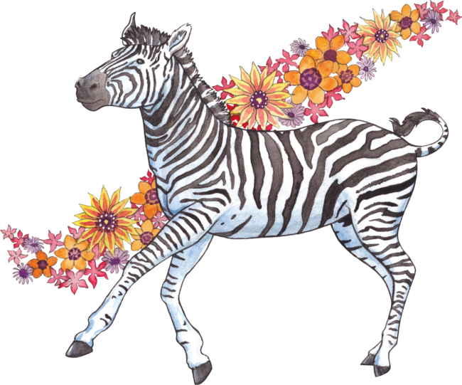 Flowery Zebra