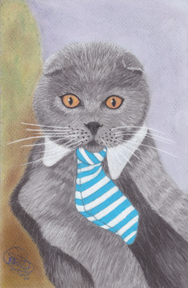 Mr Cat by BeritValk
