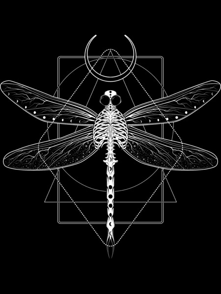 Magical Cosmic Dragonfly
