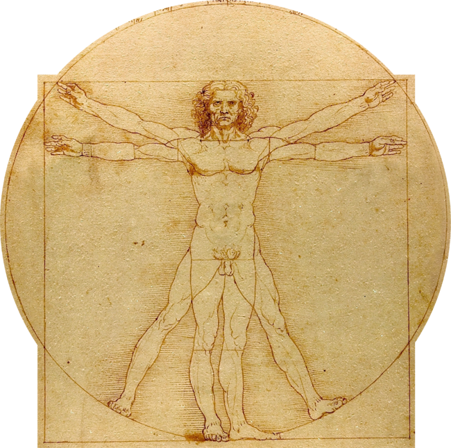 Leonardo da Vinci - Vitruvian Man