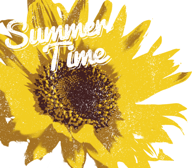 Summer Time Sunflower