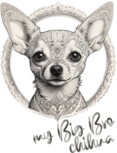 Chihuahua dog by VadimOD