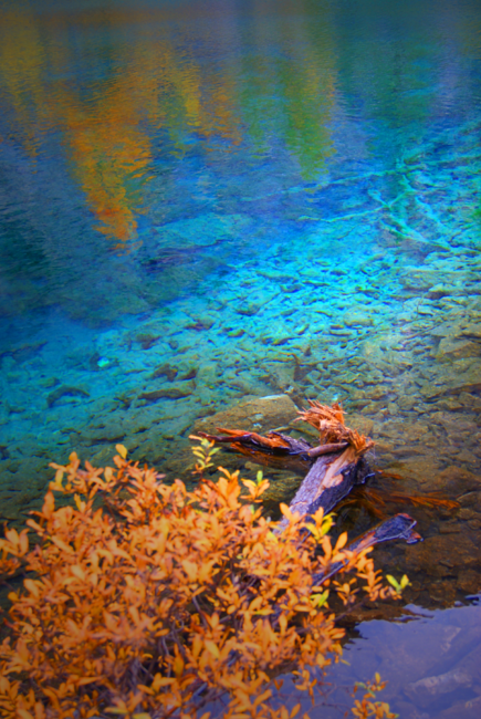 Kaleidoscope of Color Grassi Lakes Canmore Alberta