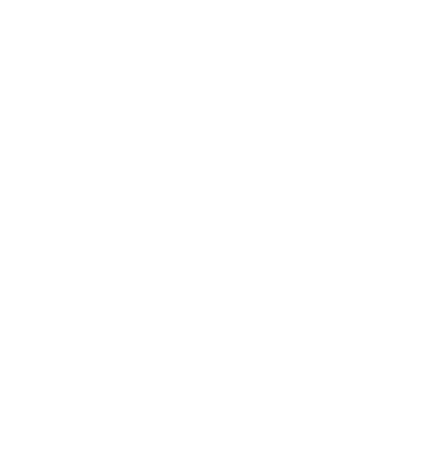 White Raven Splatter Art