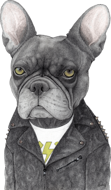 Hard Rock French Bulldog