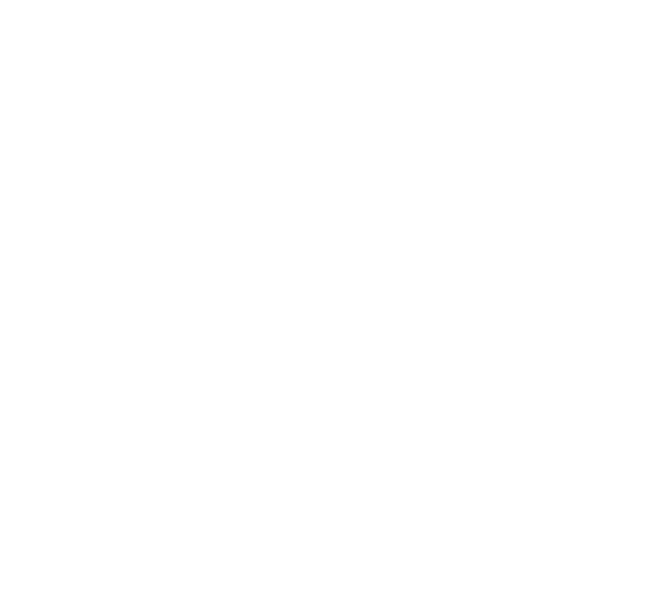 The skull without background (2-nd version)
