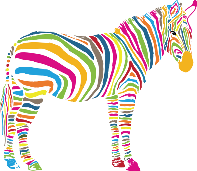 zebra colors