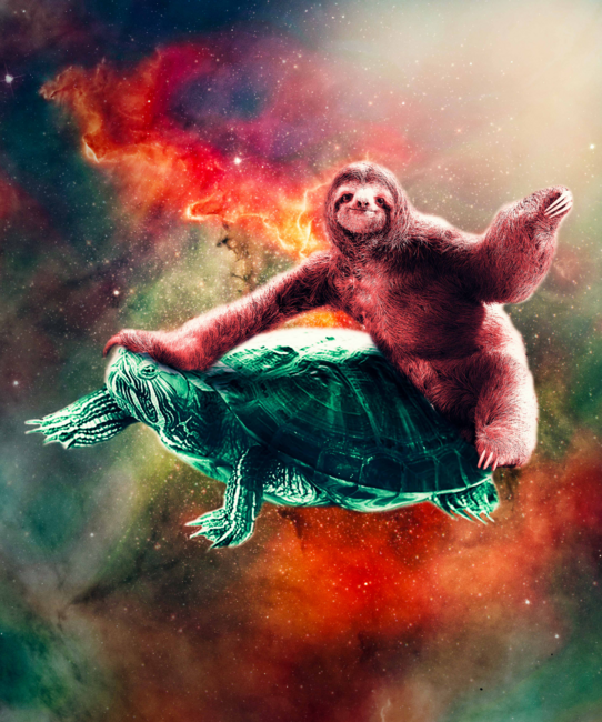 Funny Space Sloth Riding On Turtle