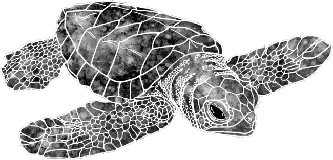 Watercolor Sea Turtle - Black And White