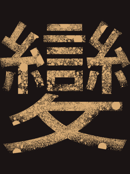 Transformer (Chinese Letter)