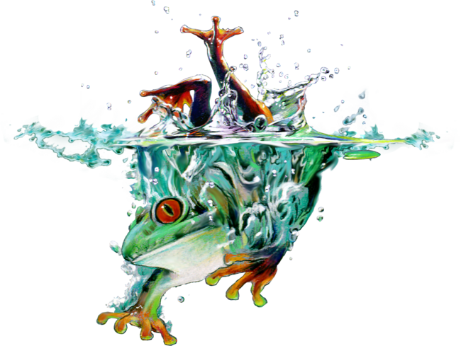 Tree Frog Splash