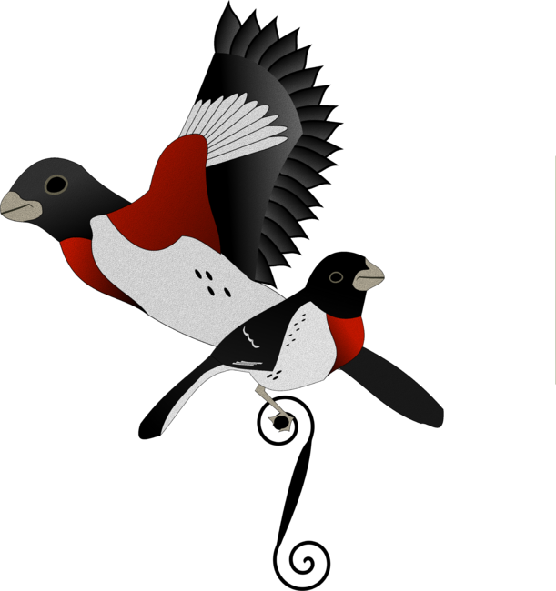 Illustrated Rose Breasted Grosbeak Cardinal Bird