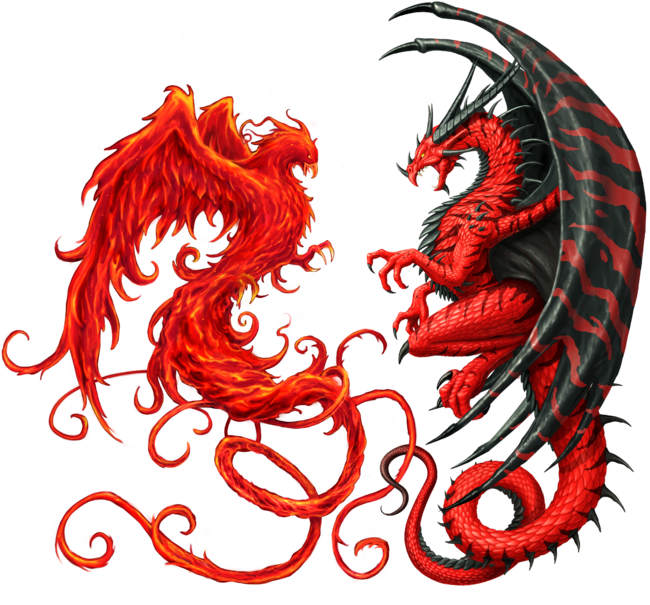 Phoenix vs Dragon by chriskar