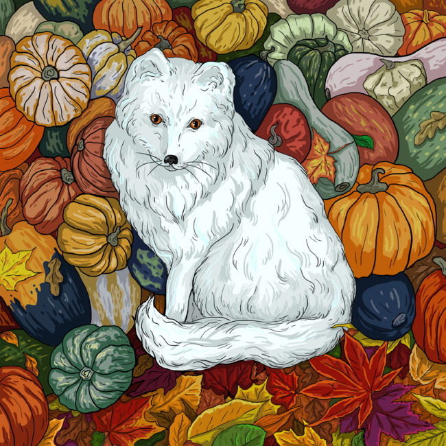 Arctic Fox. October.
