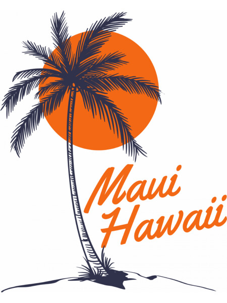 Palm Tree Sun Beach Maui Hawaii