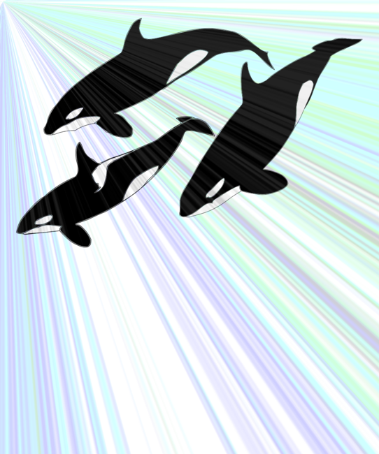 Orca, Killer Whales Under the Sea