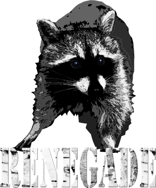 Renegade Raccoon by FantasyArtDreams