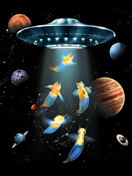 Galaxy Space Ship Alien Fish sea angels by LKTVina