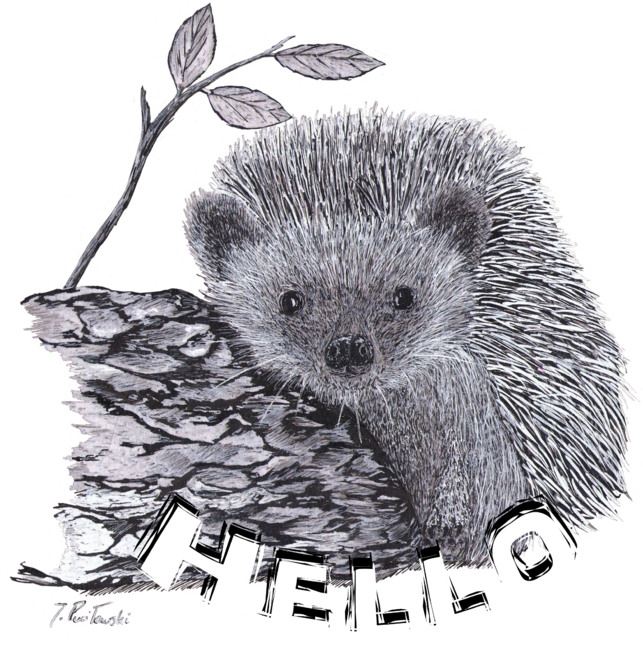 Hedgehog Hello by sanntta82