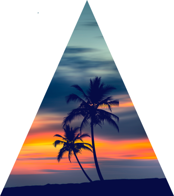 Palms and Sunset Triangle