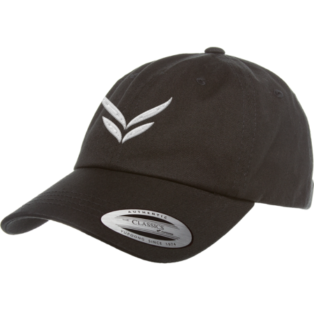 ShadowpointGG Wings Logo Dad Hat