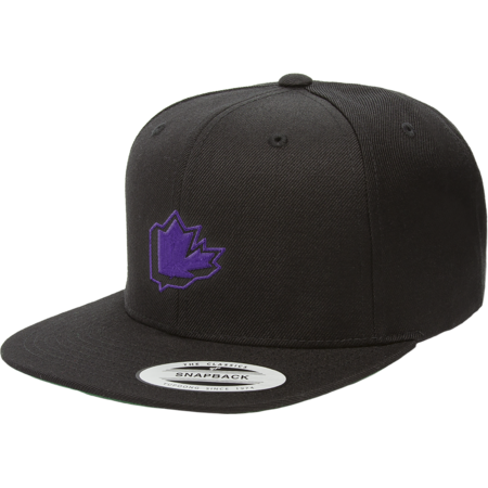 Vancouver Snapback by TwitchVancouver
