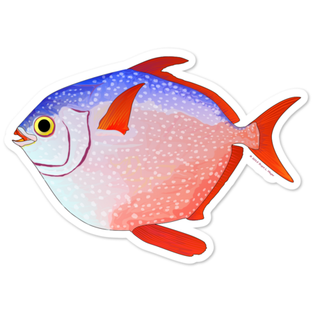 Opah fish