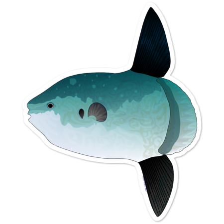 Ocean Sunfish Mola by CombatFish