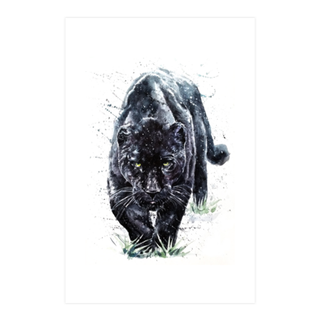 Panther watercolor painting predator animals puma jaguar by Kostart