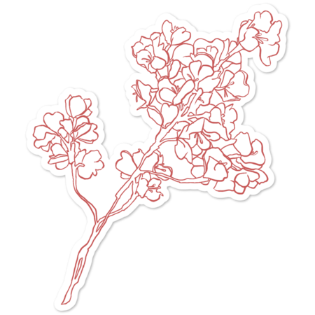 Sakura branch.