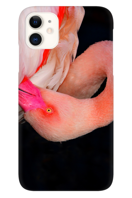 Pink Flamingo twist