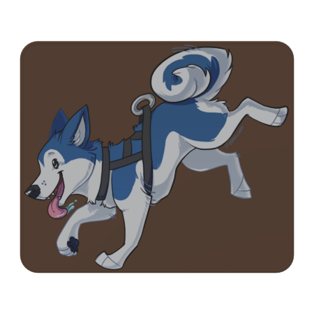 Blue Husky Running