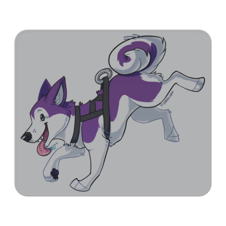 Purple Husky Running
