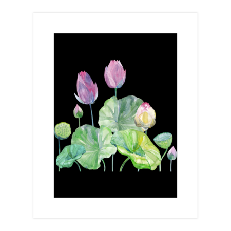 watercolor illustration of lotus