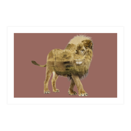 Lion by sookkol