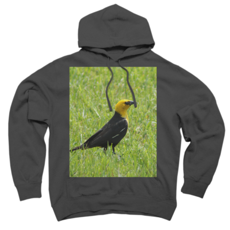 Yellow-Headed Blackbird bird on Grass Lawn Nature Scene Wildlife by DesignsbyPauline