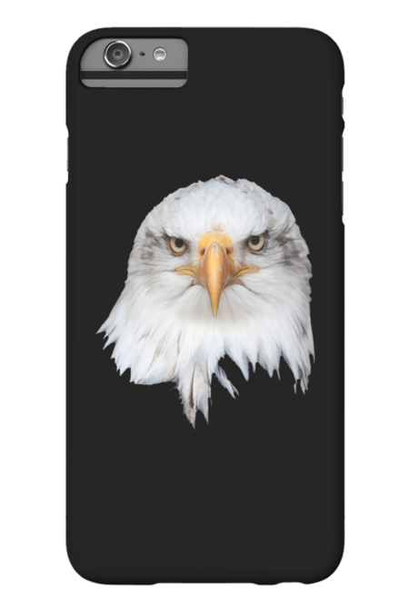 Bald Eagle. White head frontal portrait by alienart